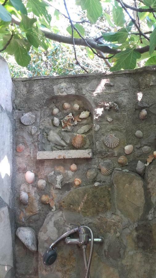 Sea-Side Old Stone Villa With A Private Garden Budva Exterior photo